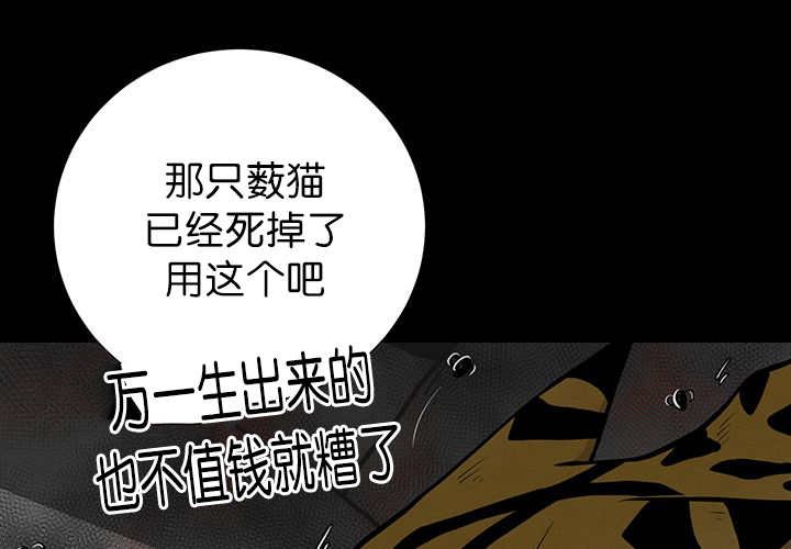第6章：生出宝宝