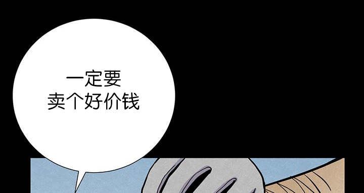 第6章：生出宝宝