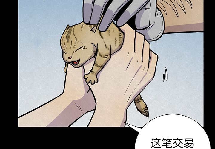 第6章：生出宝宝
