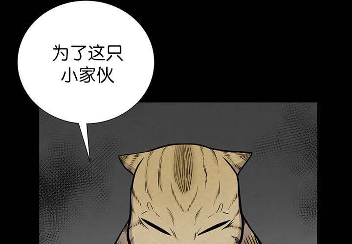 第6章：生出宝宝