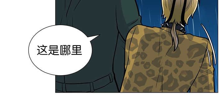第6章：生出宝宝