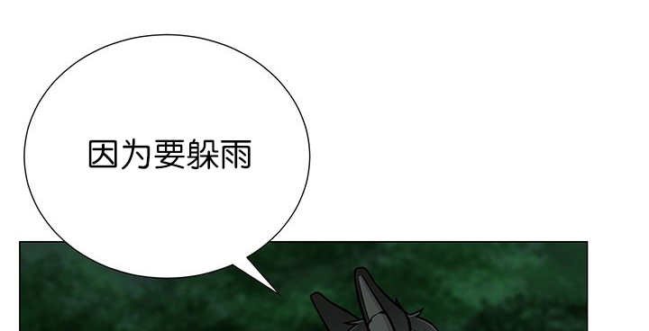 第6章：生出宝宝