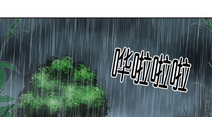 第60章：大雨滂沱