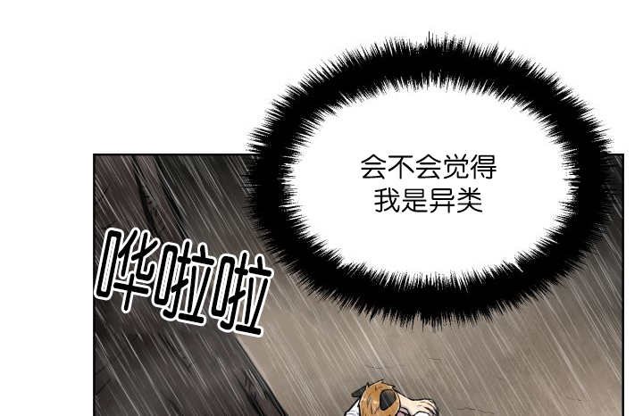 第60章：大雨滂沱