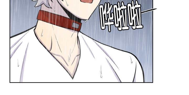 第61章：想清楚了