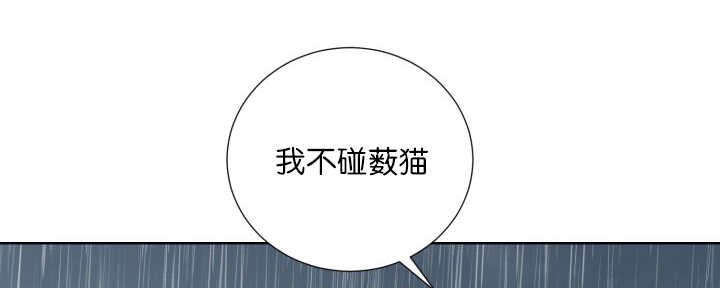 第61章：想清楚了