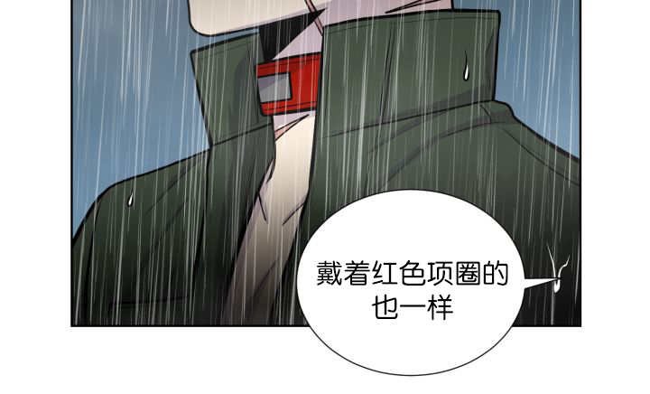 第61章：想清楚了