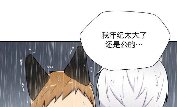 第61章：想清楚了