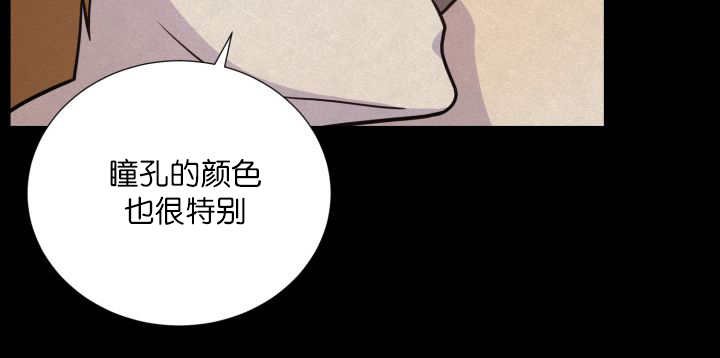 第62章：那就是我