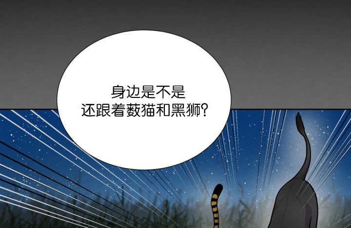 第62章：那就是我