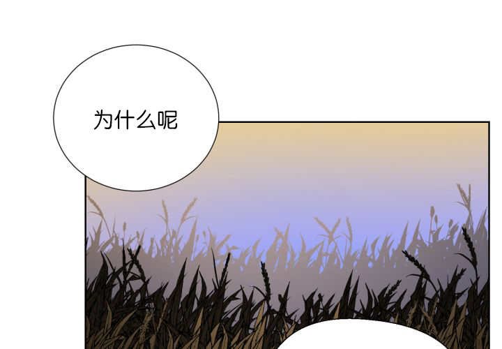 第64章：超无聊的