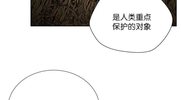 第64章：超无聊的