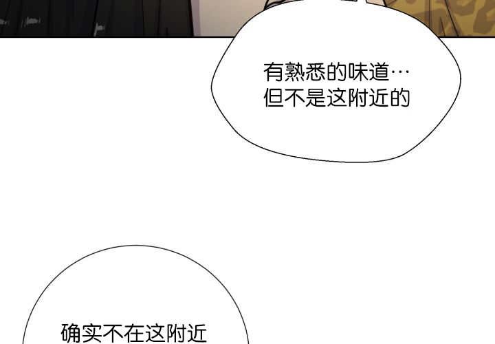 第65章：我的全部