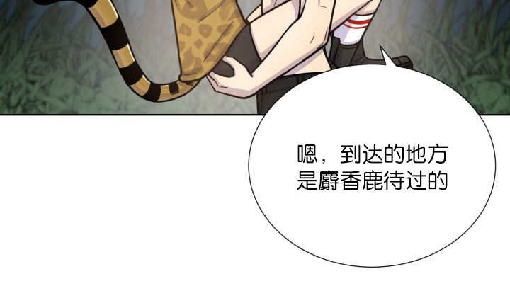 第65章：我的全部