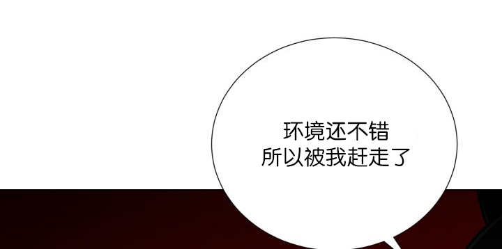 第65章：我的全部