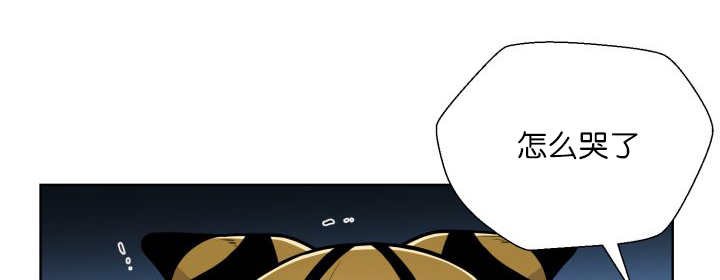 第65章：我的全部