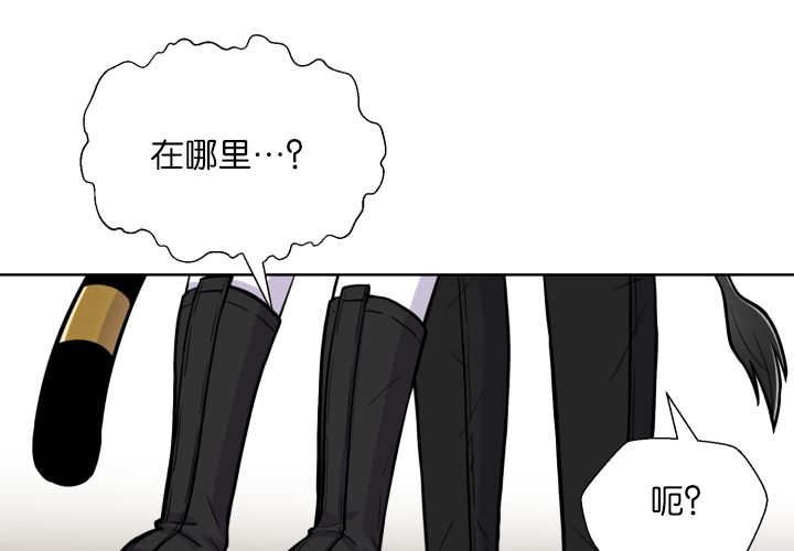第65章：我的全部