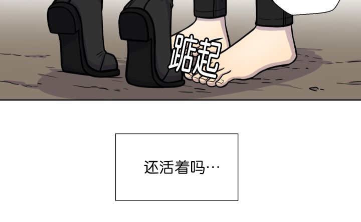 第65章：我的全部