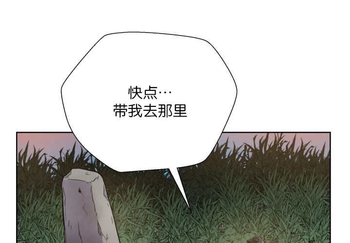 第65章：我的全部