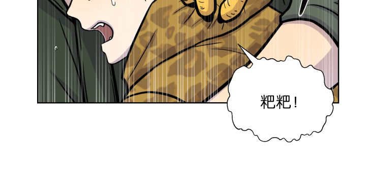 第65章：我的全部