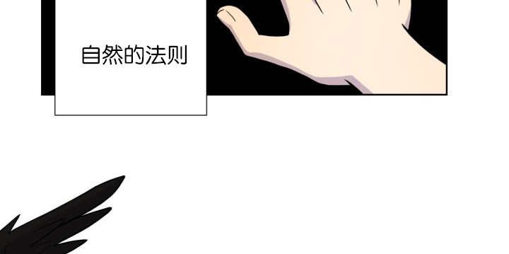 第65章：我的全部