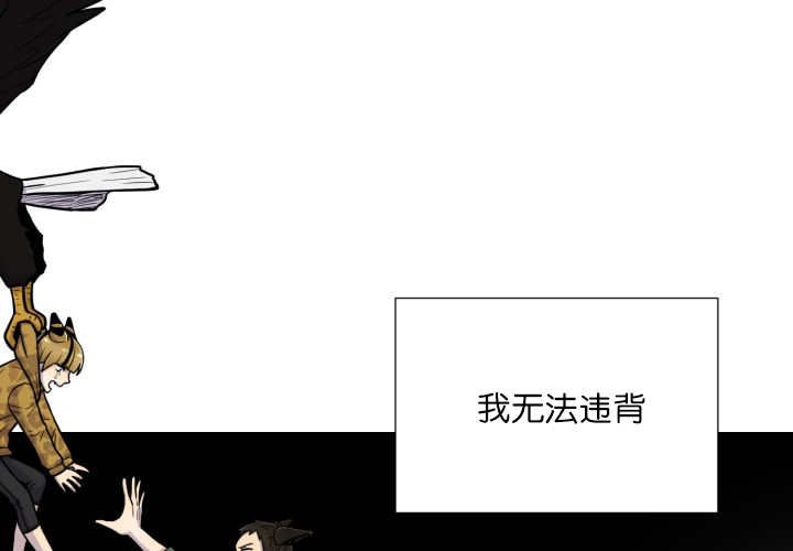 第65章：我的全部