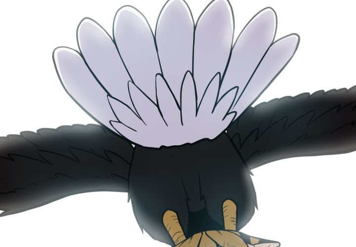 第65章：我的全部