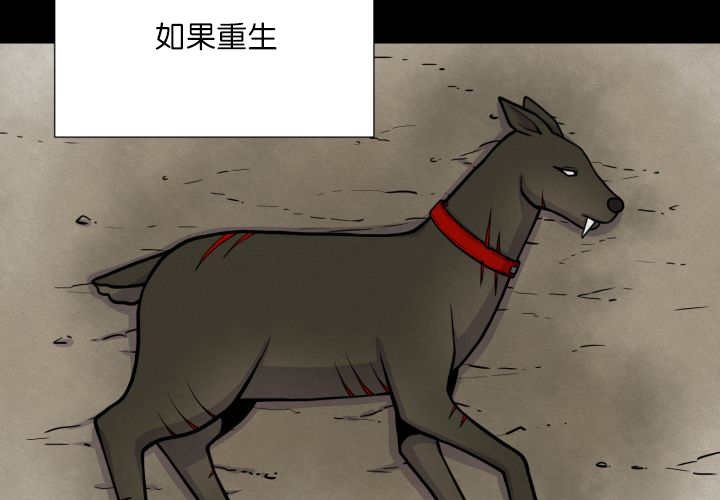 第66章：因为是你