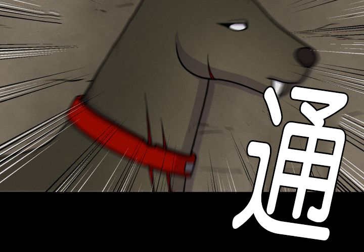 第66章：因为是你