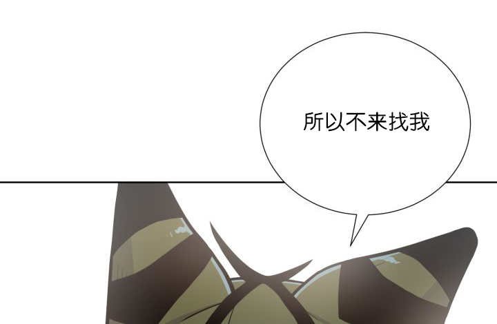 第66章：因为是你