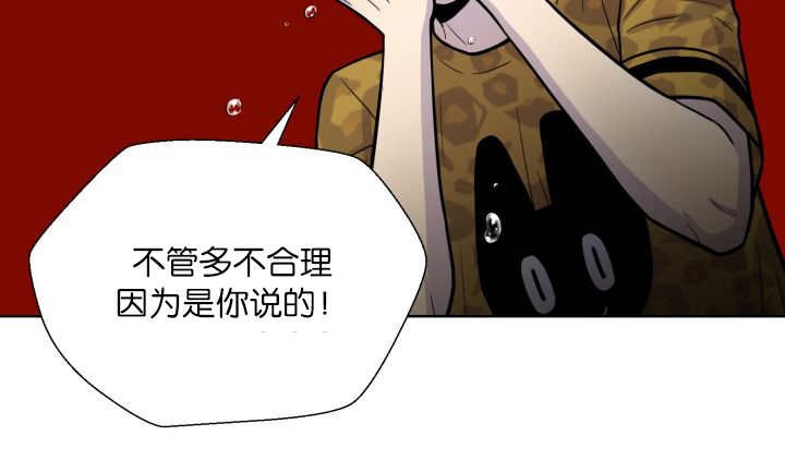 第66章：因为是你