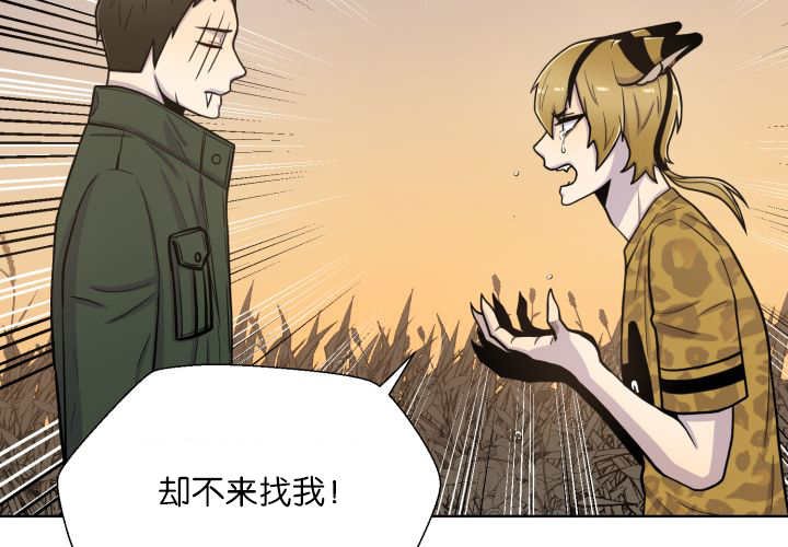 第66章：因为是你