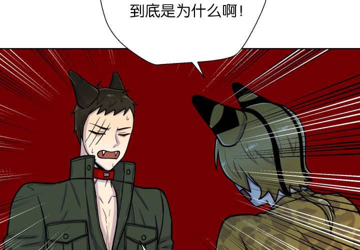 第66章：因为是你