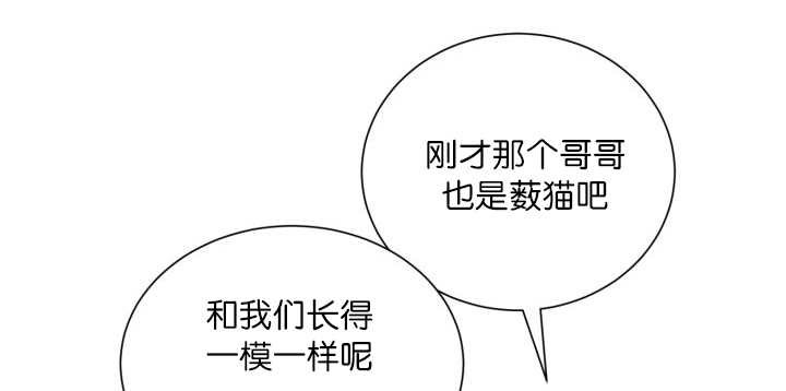 第68章：想再见他