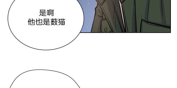 第68章：想再见他