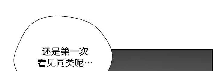 第68章：想再见他
