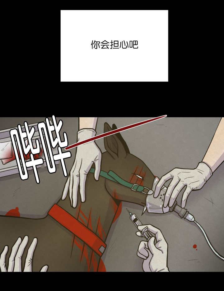 第68章：想再见他