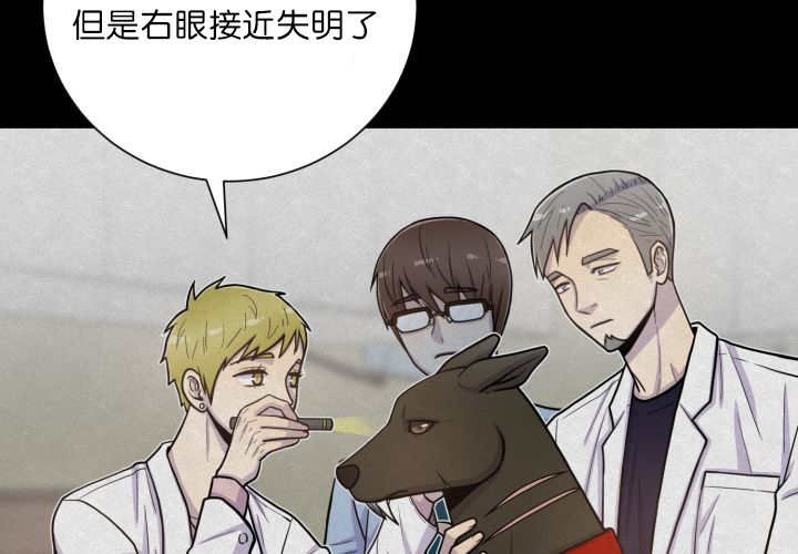 第68章：想再见他