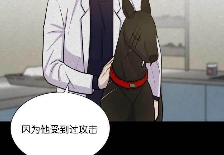 第68章：想再见他