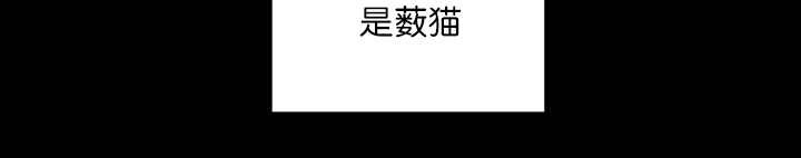 第68章：想再见他