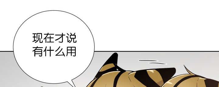 第71章：正式道别