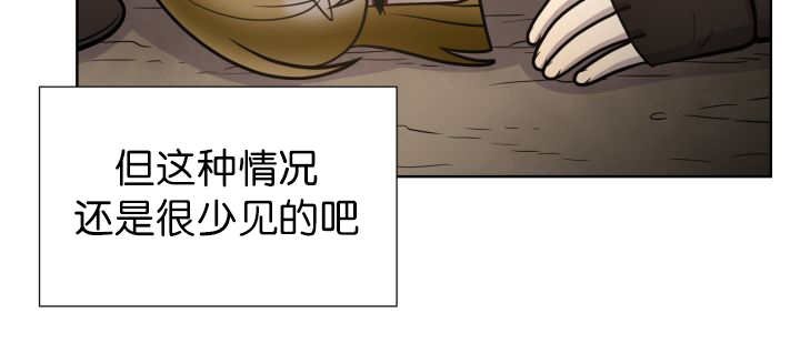 第73章：给我带路