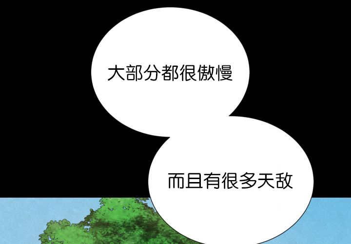 第73章：给我带路