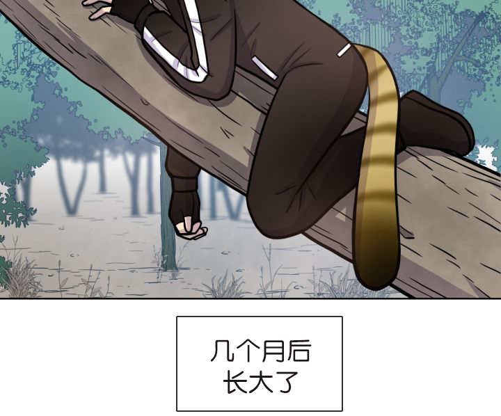 第73章：给我带路