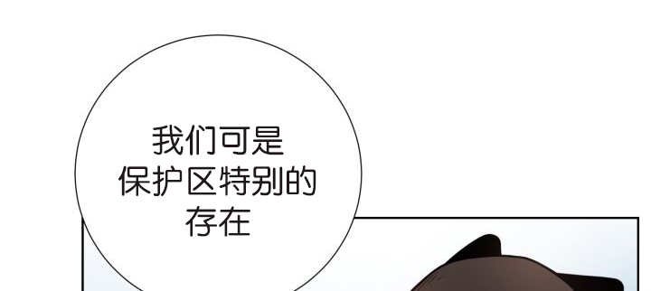 第74章：能负责吗