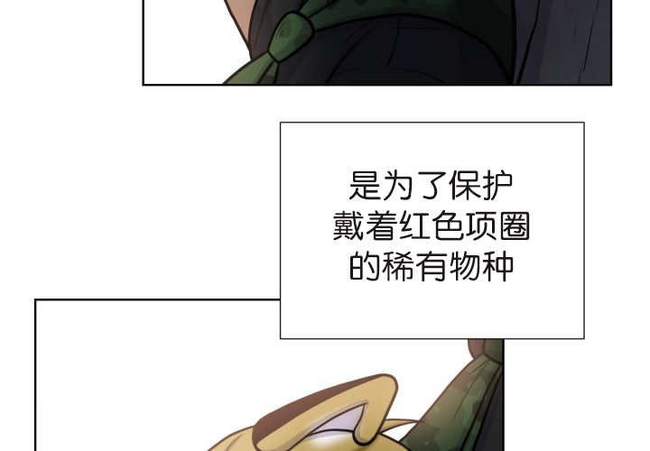 第75章：早该知道
