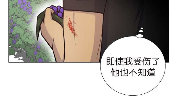 第75章：早该知道