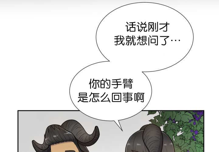 第78章：傲娇小熊猫
