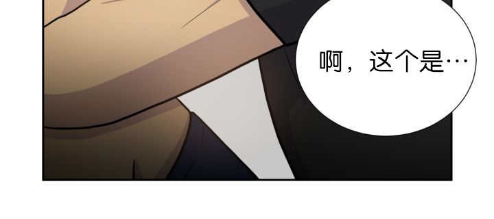 第78章：傲娇小熊猫
