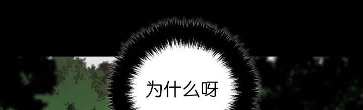 第78章：傲娇小熊猫